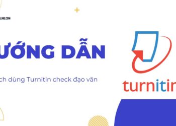 cách dùng turnitin