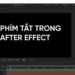 phím tắt trong after effect