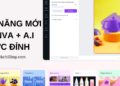 tính năng mới trên canva