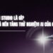 Google AI Studio là gì? Khám Phá Nền Tảng Thử Nghiệm AI Của Google