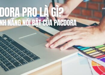 pacdora pro là gì
