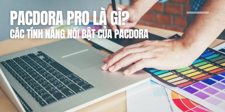 pacdora pro là gì