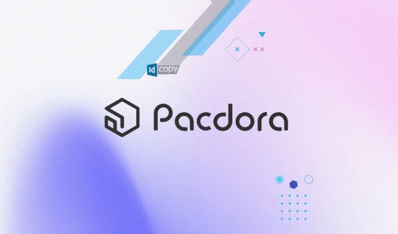 tài khoản pacdora pro