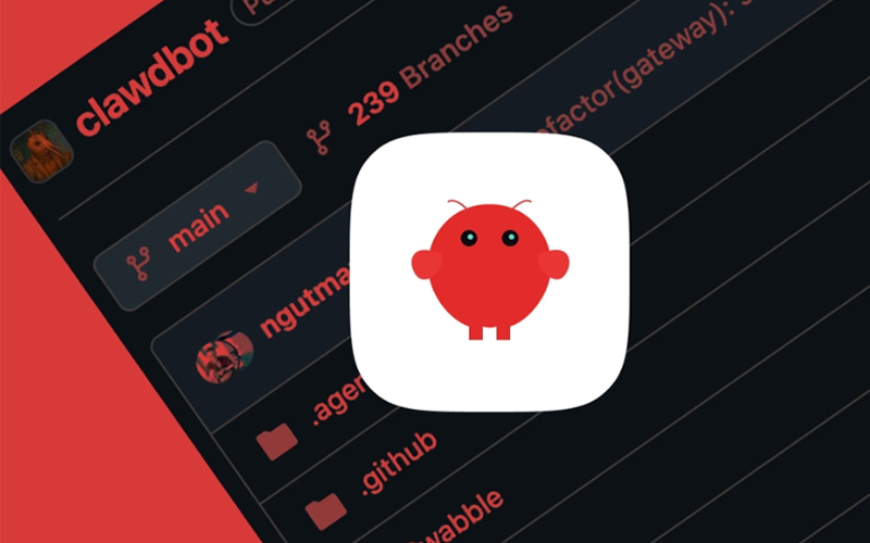 cơ chế vận hành 