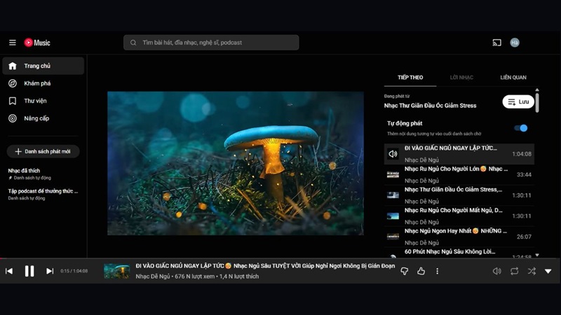 danh sách trên youtube music