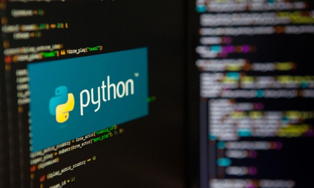 học được gì từ khóa học lập trình python