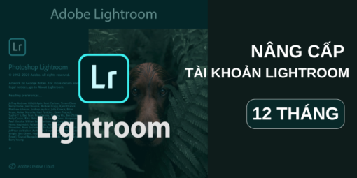 nâng cấp tài khoản lightroom