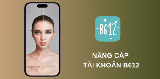 nâng cấp tài khoản b612 vip