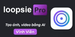 tài khoản loopsie
