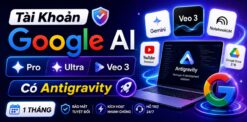 tài khoản google ai pro ultra veo 3 có antigravity